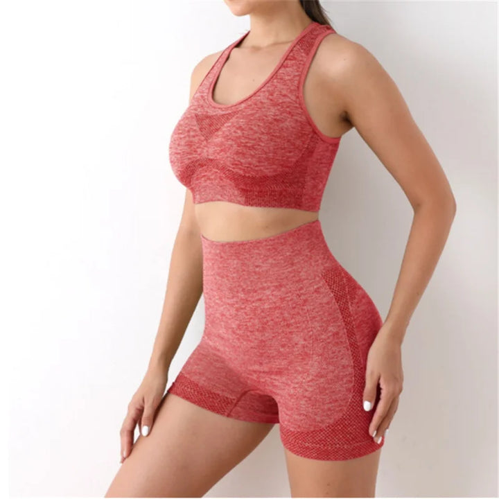 Multi-Color Seamless Activewear Set for Women