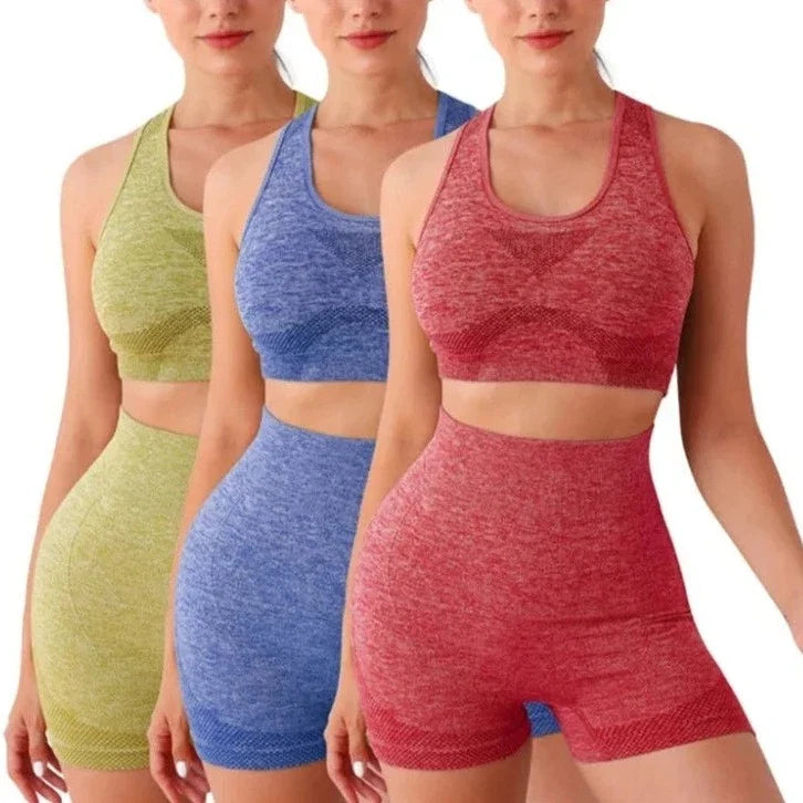 Multi-Color Seamless Activewear Set for Women